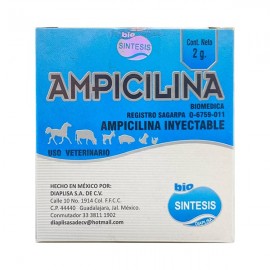 Ampicilina