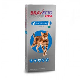 Bravecto Plus Pipeta Gatos